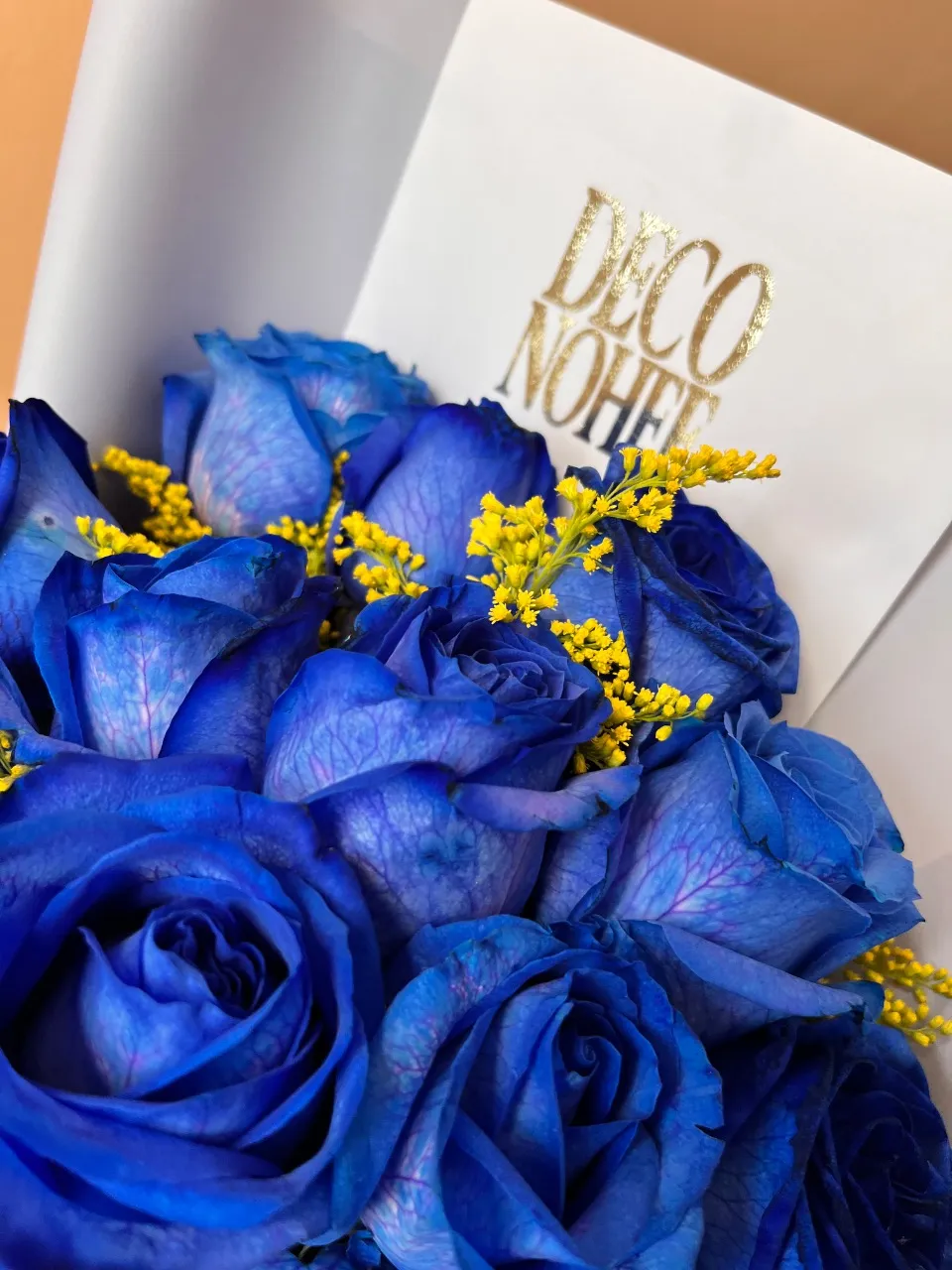 Océano de Amor 